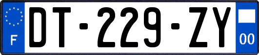 DT-229-ZY