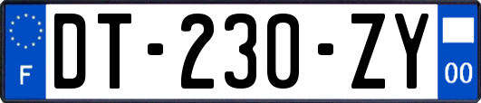 DT-230-ZY