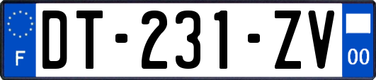 DT-231-ZV