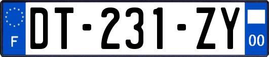 DT-231-ZY