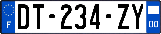 DT-234-ZY