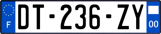 DT-236-ZY