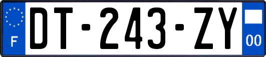 DT-243-ZY