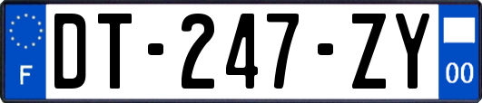 DT-247-ZY