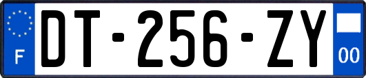 DT-256-ZY