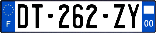 DT-262-ZY