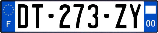 DT-273-ZY