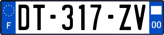 DT-317-ZV