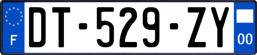 DT-529-ZY