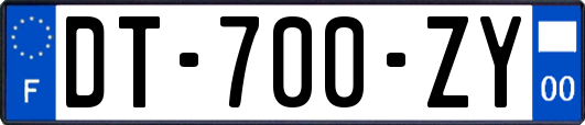 DT-700-ZY
