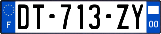 DT-713-ZY