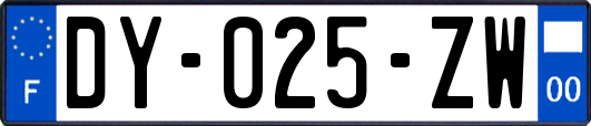 DY-025-ZW
