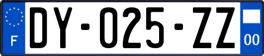DY-025-ZZ