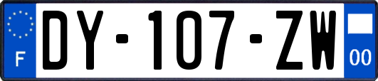 DY-107-ZW