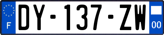 DY-137-ZW