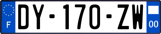 DY-170-ZW