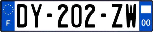 DY-202-ZW