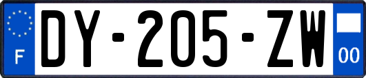 DY-205-ZW
