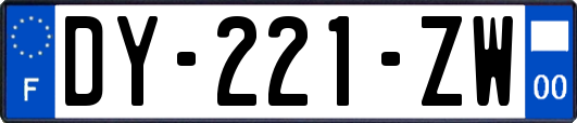 DY-221-ZW
