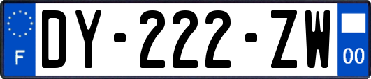 DY-222-ZW