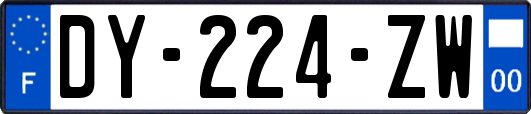 DY-224-ZW