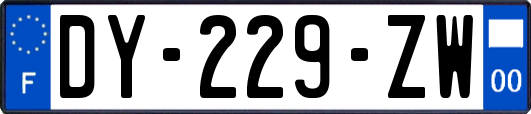 DY-229-ZW