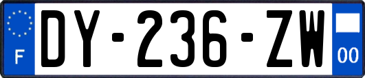 DY-236-ZW