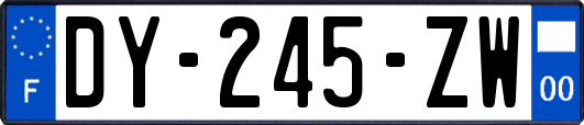 DY-245-ZW