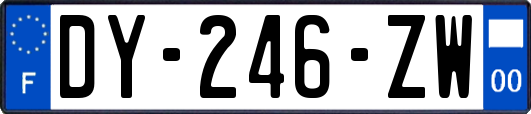 DY-246-ZW