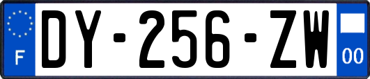 DY-256-ZW
