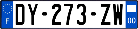 DY-273-ZW