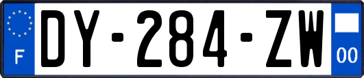 DY-284-ZW