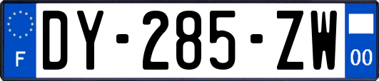 DY-285-ZW