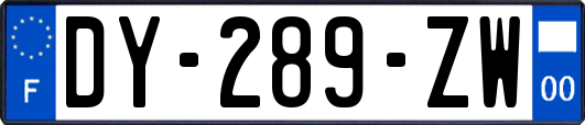 DY-289-ZW