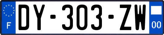 DY-303-ZW