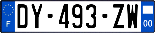 DY-493-ZW