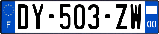 DY-503-ZW