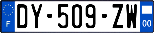 DY-509-ZW