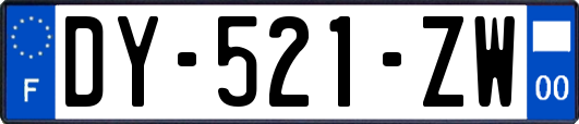 DY-521-ZW