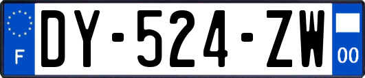DY-524-ZW