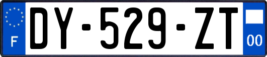 DY-529-ZT