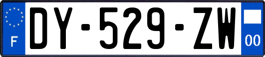 DY-529-ZW