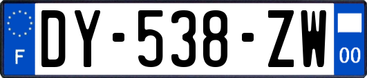 DY-538-ZW