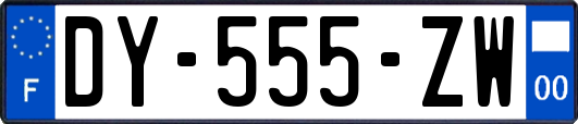 DY-555-ZW