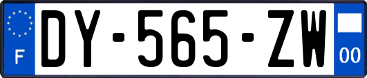 DY-565-ZW