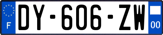 DY-606-ZW