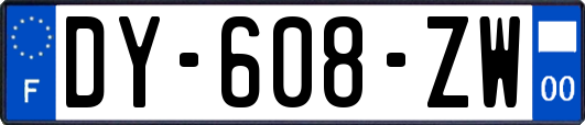 DY-608-ZW