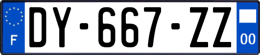DY-667-ZZ