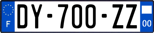 DY-700-ZZ