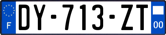 DY-713-ZT